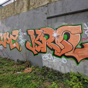 Sheffield & Tinsley Canal Graffiti (2021)